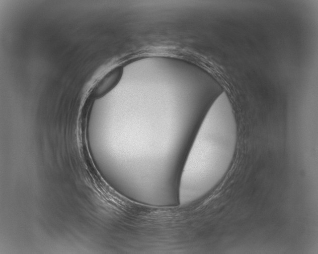 X0000051240294200506170823