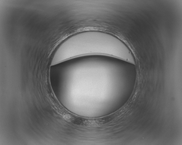 X0000051240297200506170823