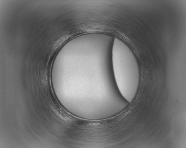 X0000051240298200506170823