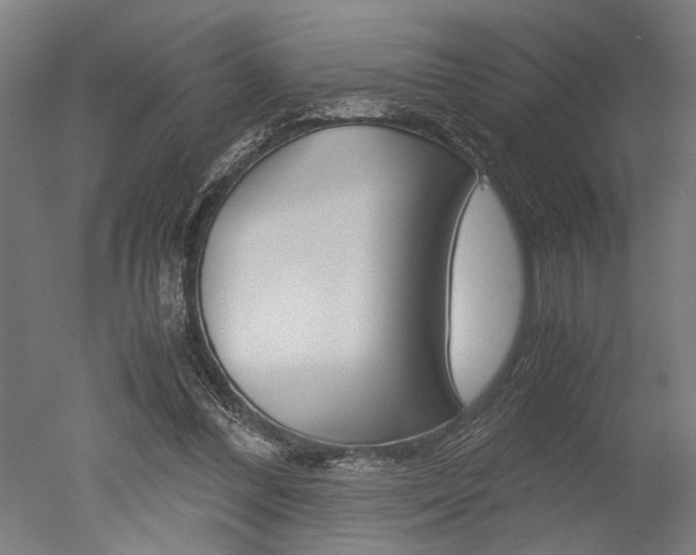 X0000051240300200506170823