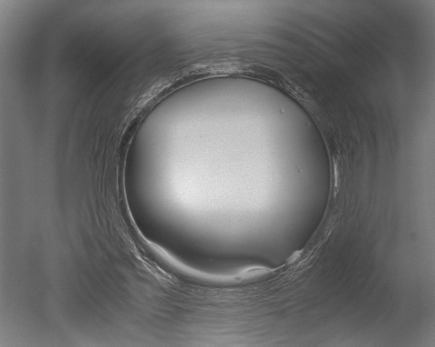X0000051240301200506170823