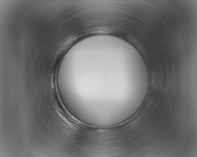 X0000051240302200506170823
