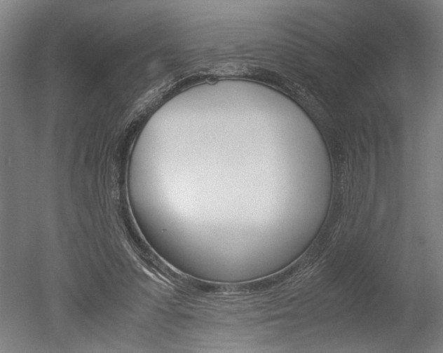 X0000051240303200506170823