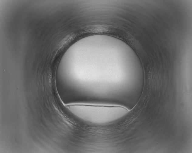 X0000051240304200506170823