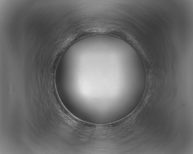 X0000051240305200506170823