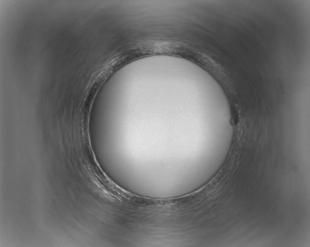 X0000051240306200506170823