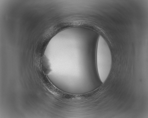 X0000051240307200506170823