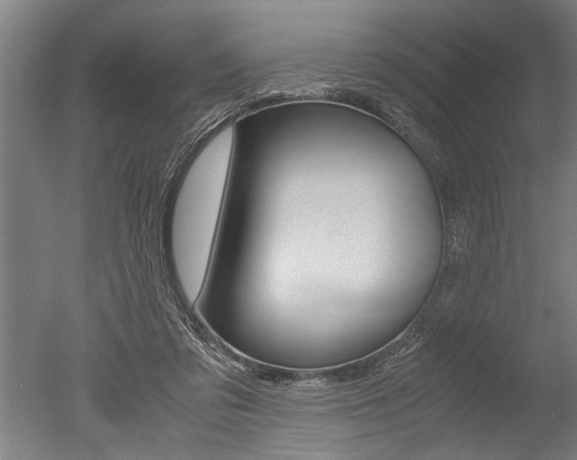 X0000051240309200506170823