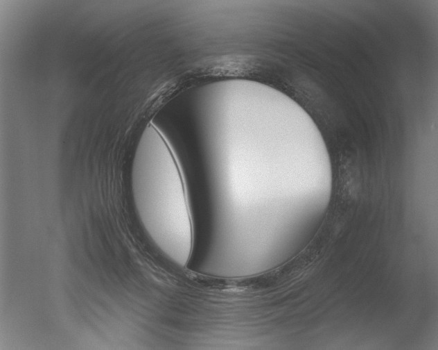 X0000051240312200506170823