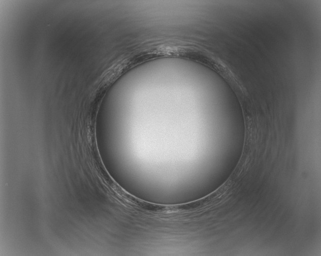 X0000051240313200506170822