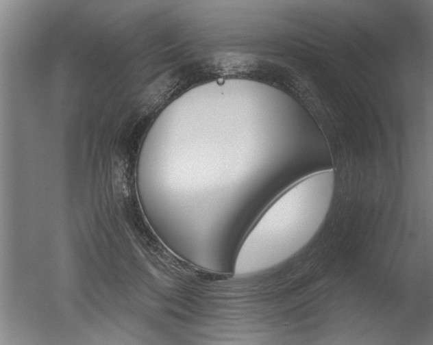 X0000051240316200506170822