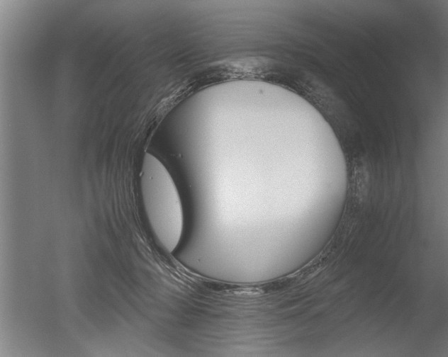 X0000051240318200506170822