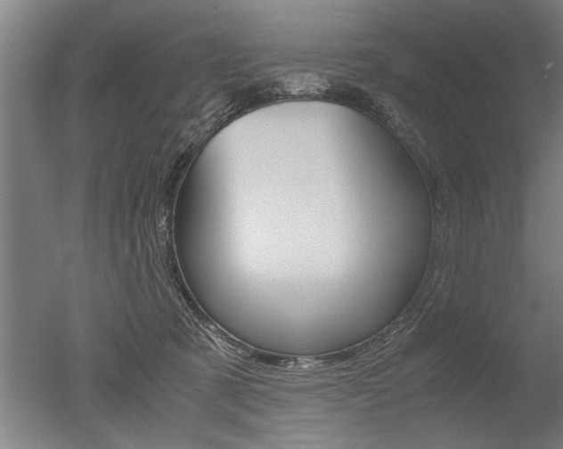 X0000051240321200506170822