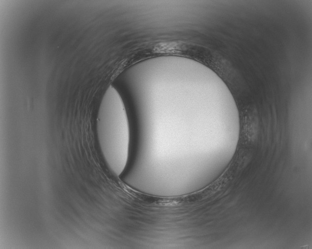 X0000051240322200506170822