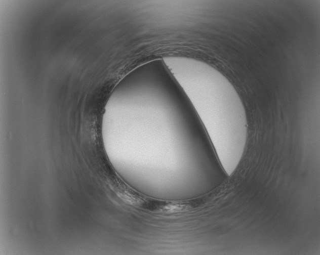 X0000051240323200506170822
