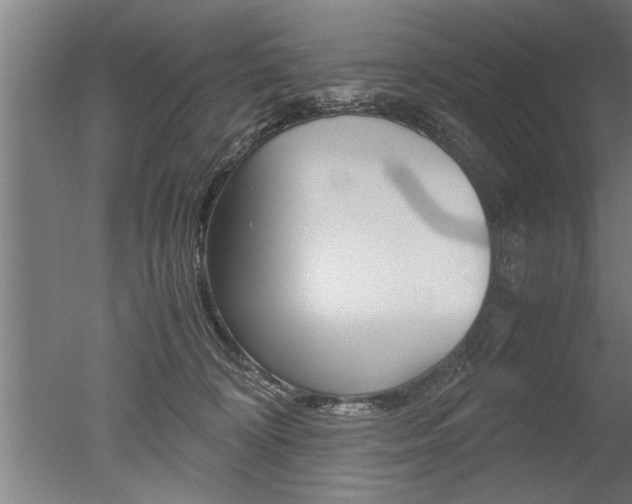 X0000051240324200506170822