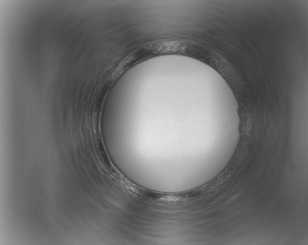 X0000051240326200506170822