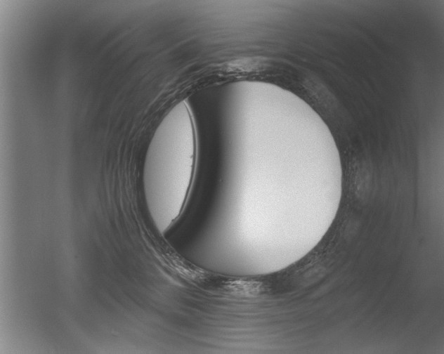 X0000051240328200506170822