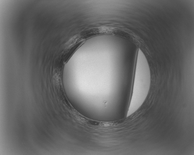 X0000051240329200506170822