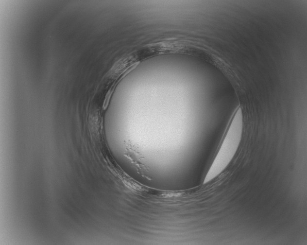 X0000051240333200506170822