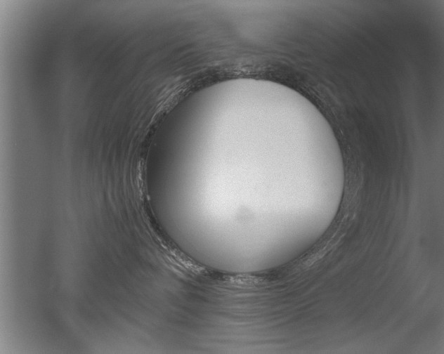X0000051240336200506170822