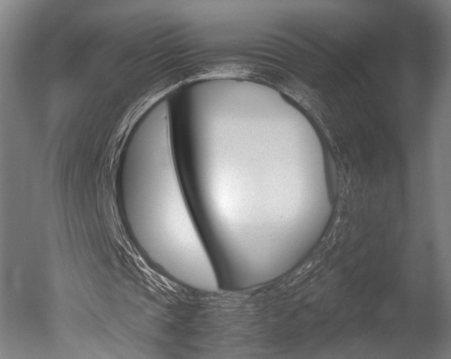 X0000051240337200506170821