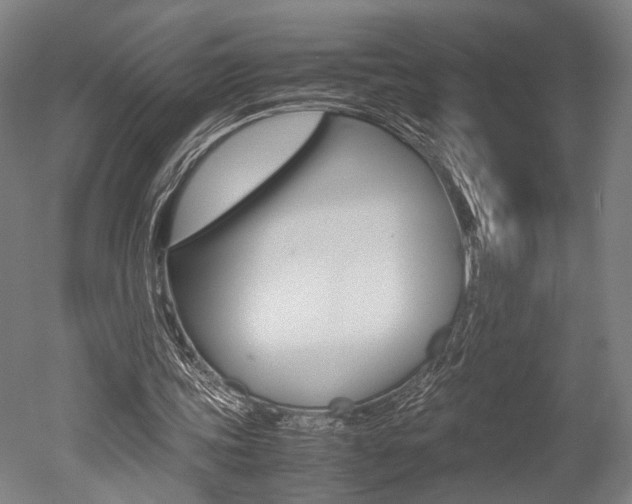 X0000051240339200506170821