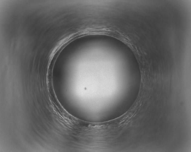 X0000051240340200506170821