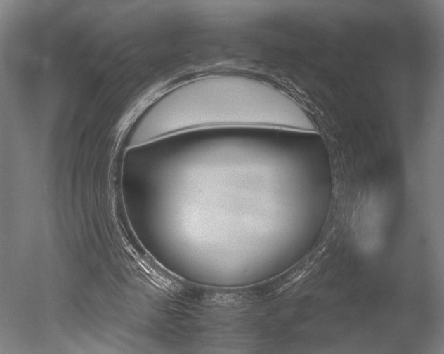 X0000051240341200506170821