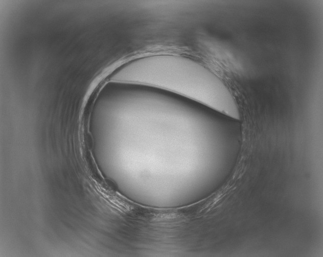X0000051240342200506170821