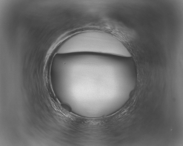X0000051240343200506170821