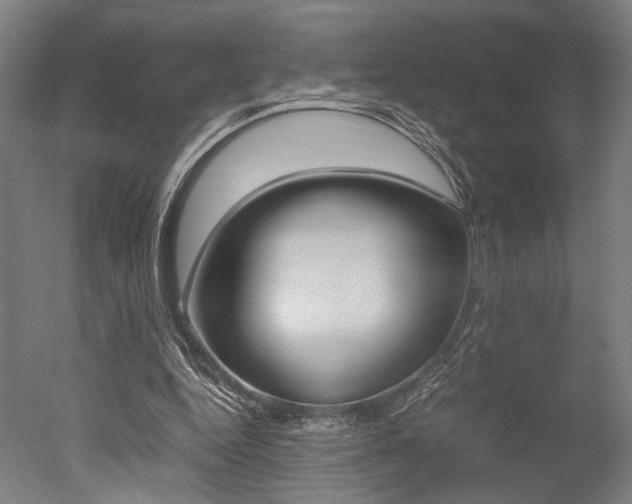 X0000051240344200506170821