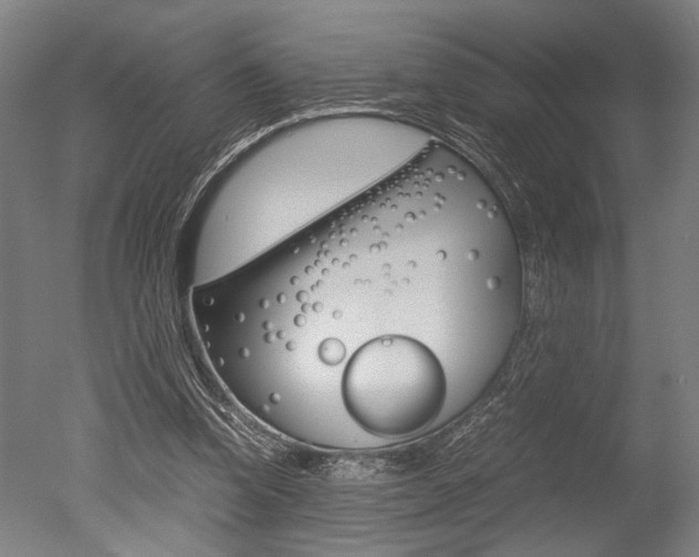 X0000051240346200506170821