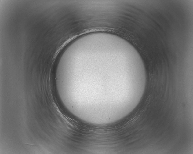X0000051240348200506170821