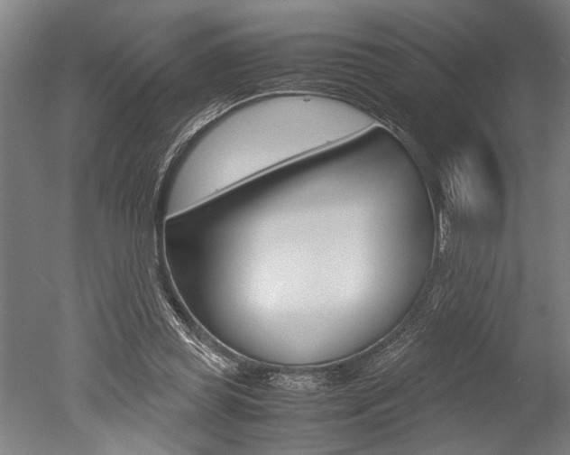 X0000051240349200506170821