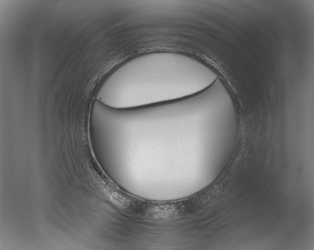 X0000051240353200506170822