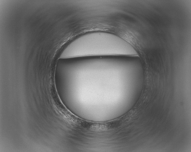 X0000051240354200506170822