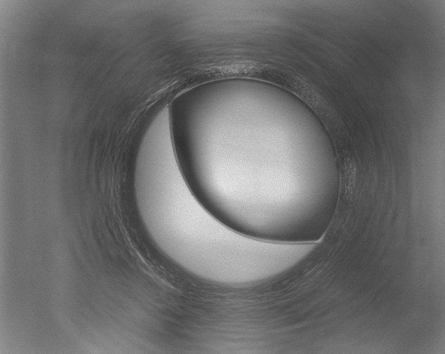 X0000051240356200506170822