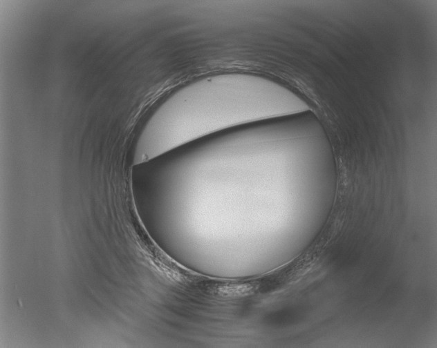 X0000051240357200506170822