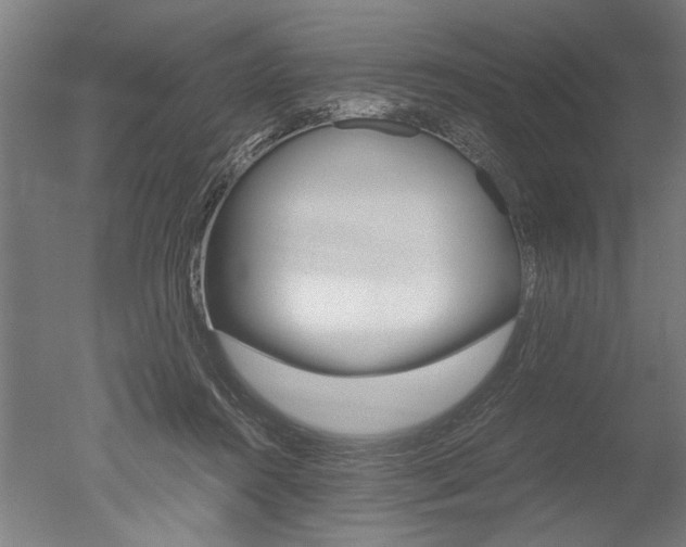 X0000051240360200506170822