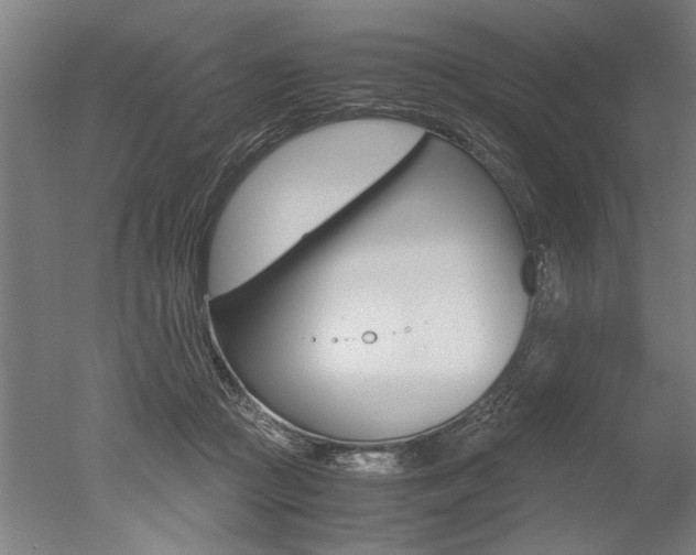 X0000051240361200506170822