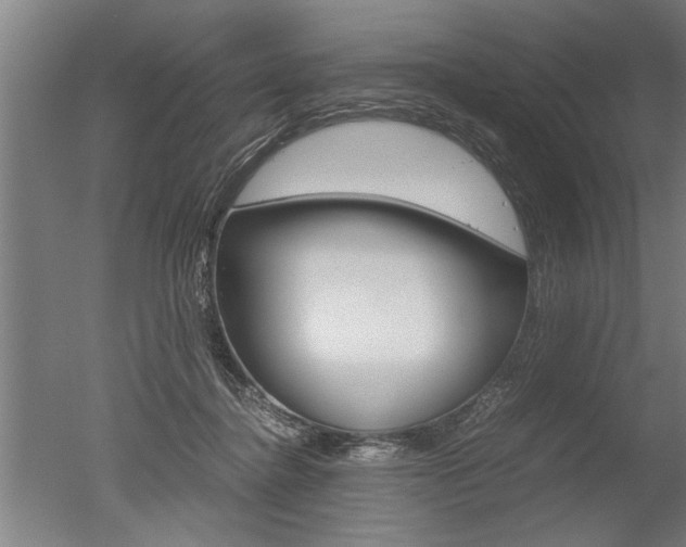 X0000051240364200506170822