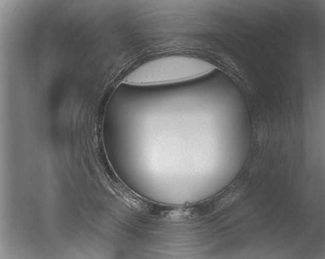 X0000051240366200506170822