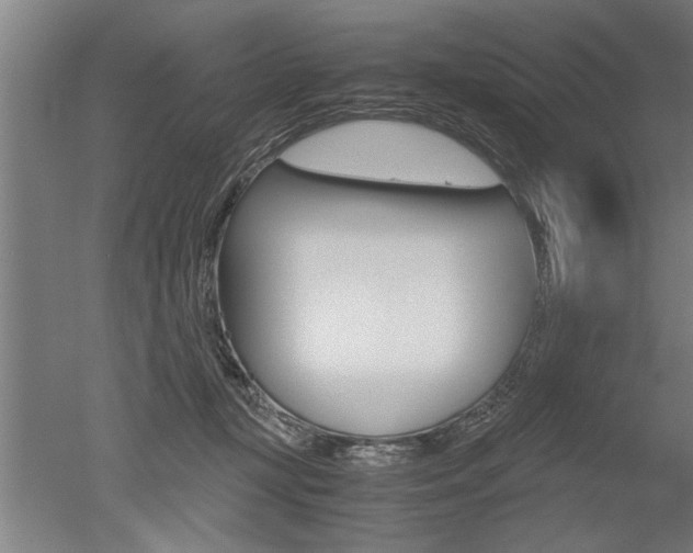X0000051240367200506170822