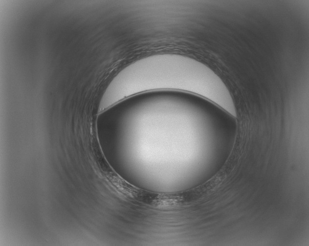 X0000051240368200506170822