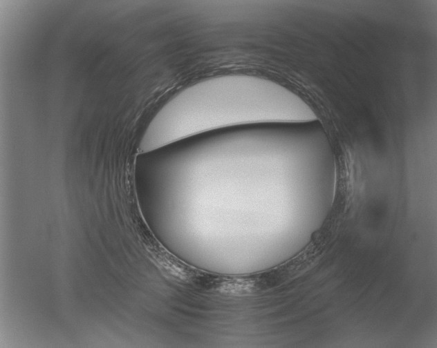 X0000051240369200506170822