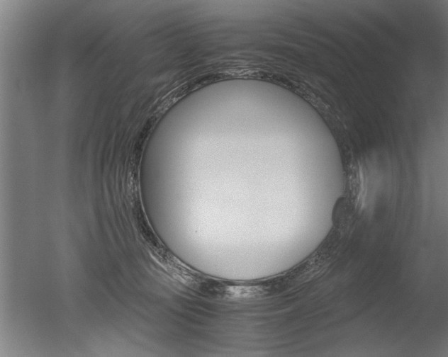 X0000051240371200506170822