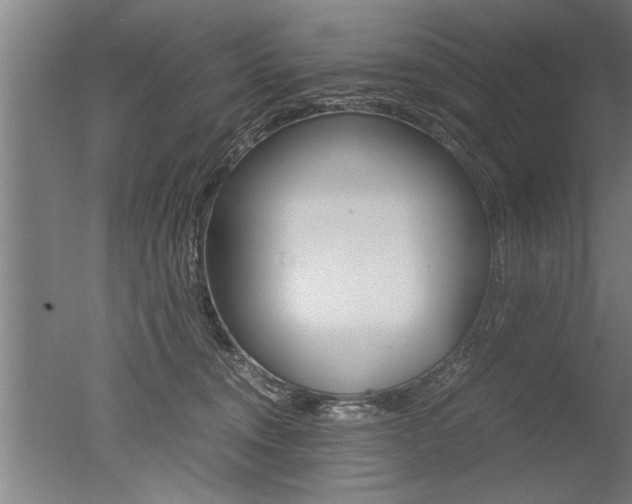 X0000051240372200506170822