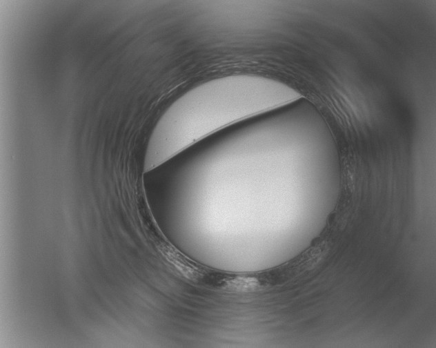 X0000051240374200506170822