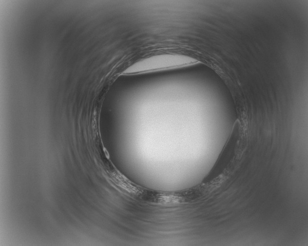 X0000051240376200506170822